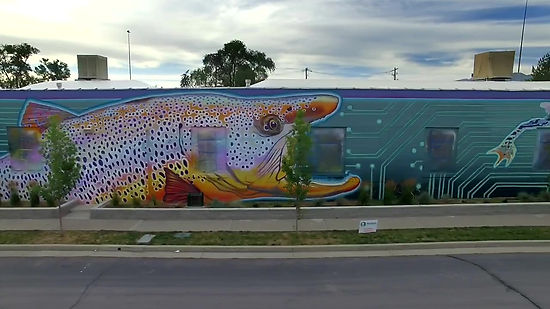 Frogwater mural: Muralfest 2020